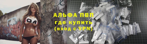 стафф Семилуки