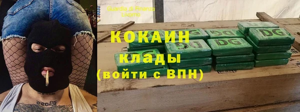 стафф Семилуки