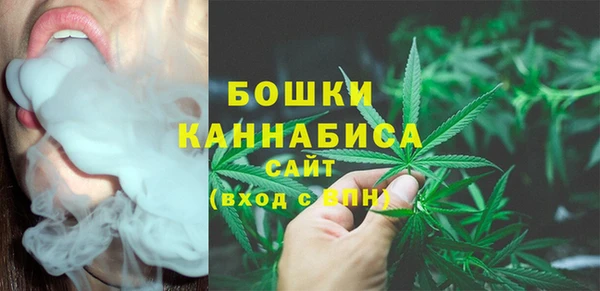 стафф Семилуки